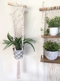 Kwietnik na gałęzi "Scarlett"