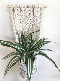 Kwietnik na gałęzi "Juliette"