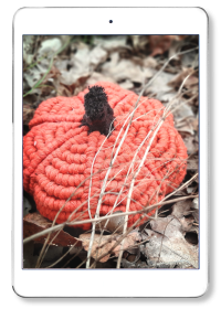 Dynia - PDF uzupełnienie video tutoriala